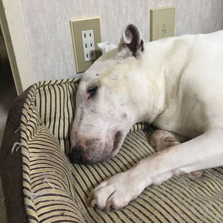 Aef987d3 14f1 43eb 86ba 9798f6e99484