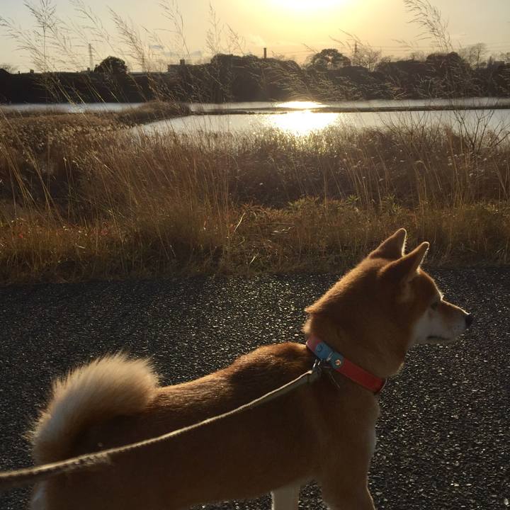 Aef9b7f7 2324 49c0 b7cb 2e85e716453f