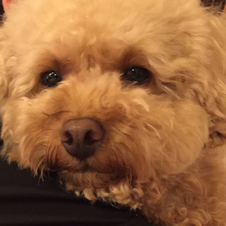 Aefaade2 dfb9 408a be87 68792903c357