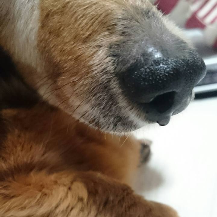 Aefad2e0 9128 4fc2 b091 5d9afde76430