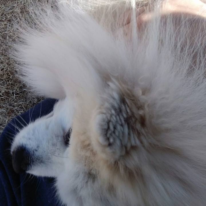 Aefb158a b91e 47ef 81dd c9f52512c05c