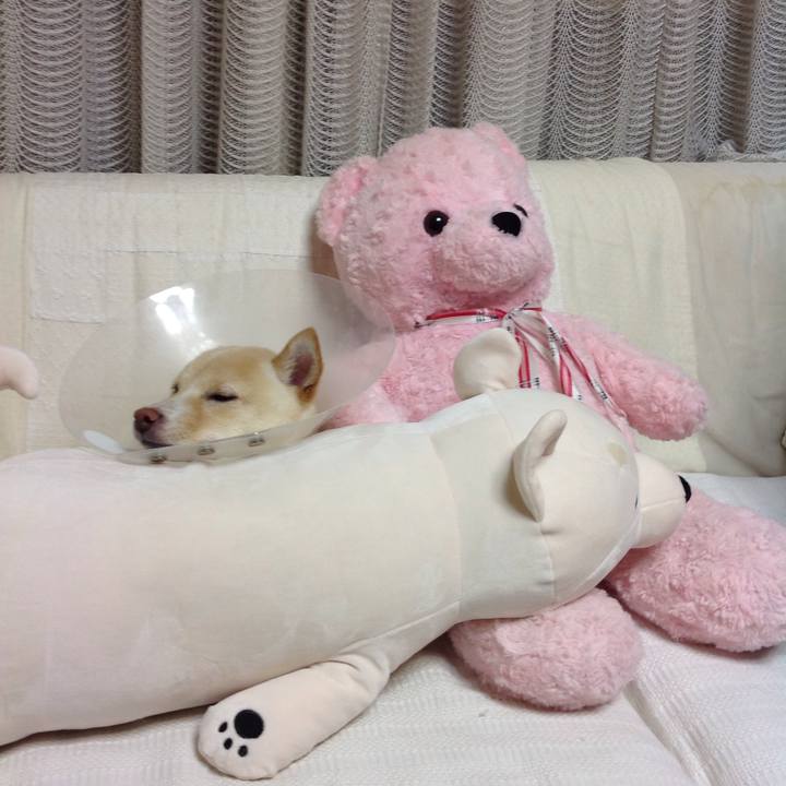 Aefb2e9e 022f 49a3 a717 08d8df199692