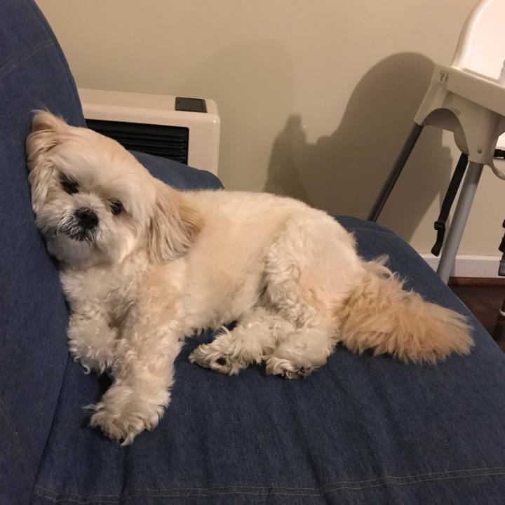 Aefb40b1 a171 4de6 b1d9 229ae7383fe7