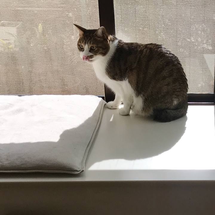 Aefc342b f986 48cc 8621 66281bce663d