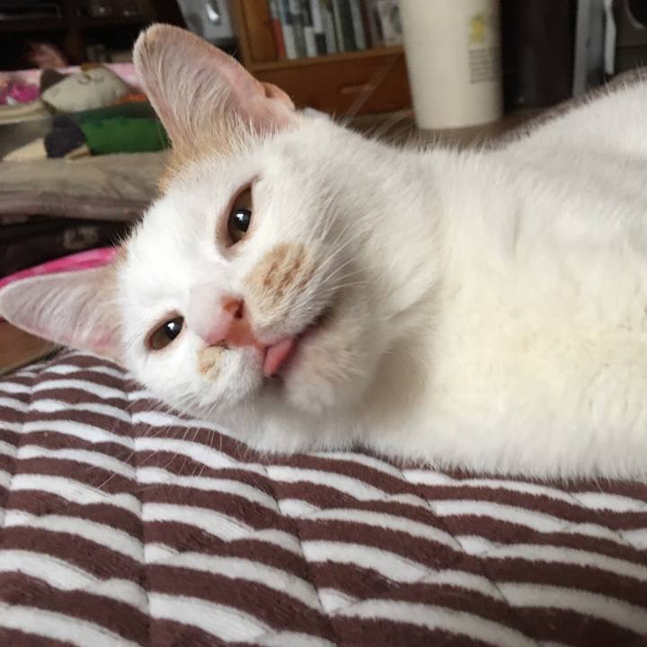 Aefc8ae3 aad1 450b 8c18 2fca3266d412