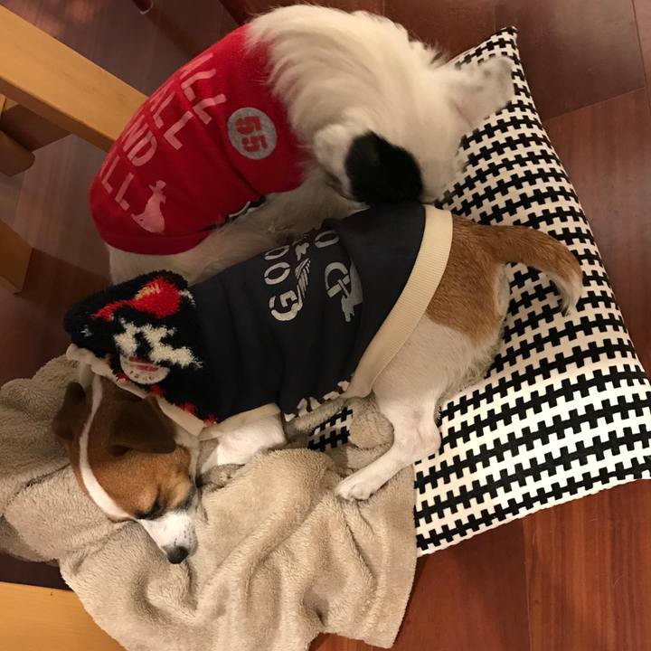 Aefca41c a225 43de 9a46 81897c499fe7