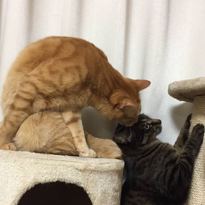 Aefcbf73 695e 4167 a686 0a80074a1ff4