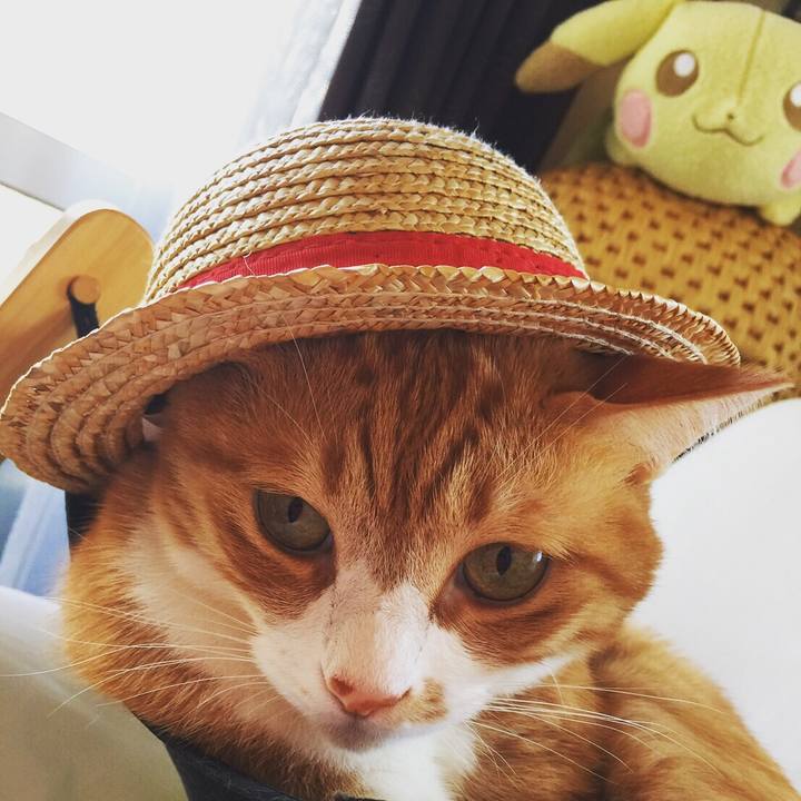 Aefde21e e168 4020 85b8 990bb94dd2ba