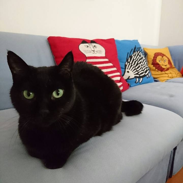 Aefe67b1 6773 4bd3 af65 6ed3340567a4