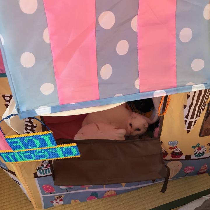 Aeff326c 436d 4896 b31d 5e5051fe5df6