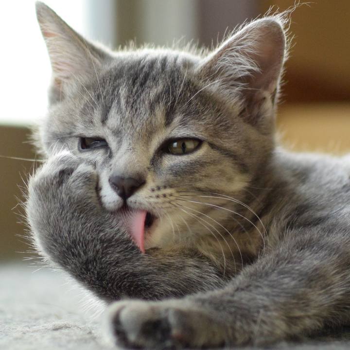 Aeff3c34 c918 4105 a02b e8ff9033103c