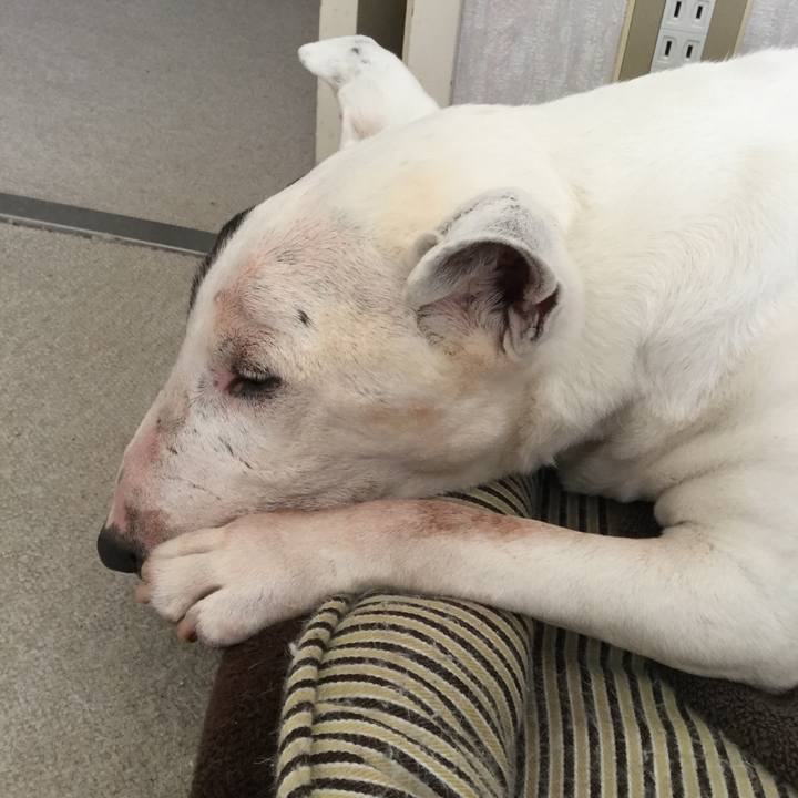 Aeff90e4 dca4 4e93 9592 ae932f6266ab