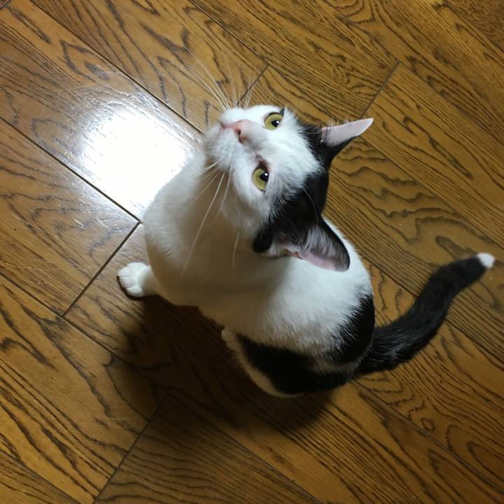 Aeffc96b 80da 4e33 8438 5e52b082f692