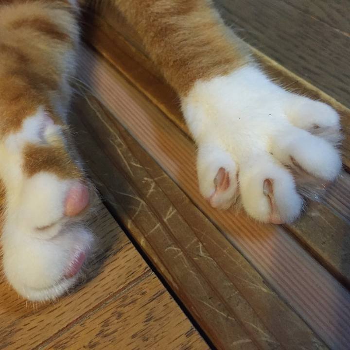 Af00ea04 233a 4524 bb53 ee9890ef3926