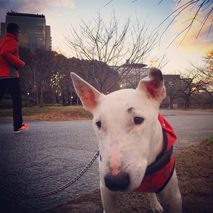 Af015e9c e1a1 4030 8493 6bf3927e9934