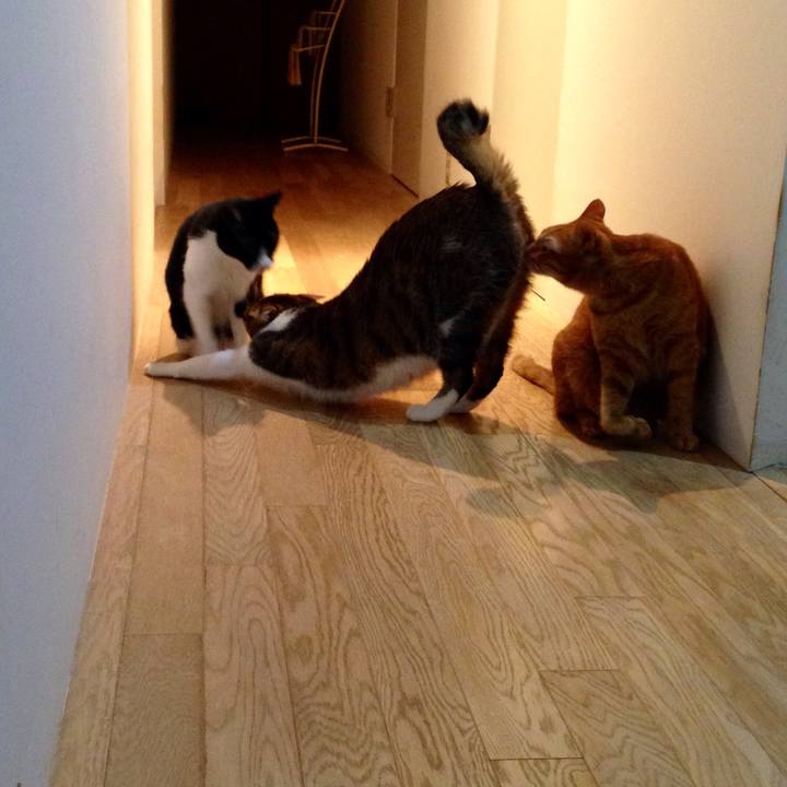 Af01d051 d177 45ec 9b0e d69d3585ddf5