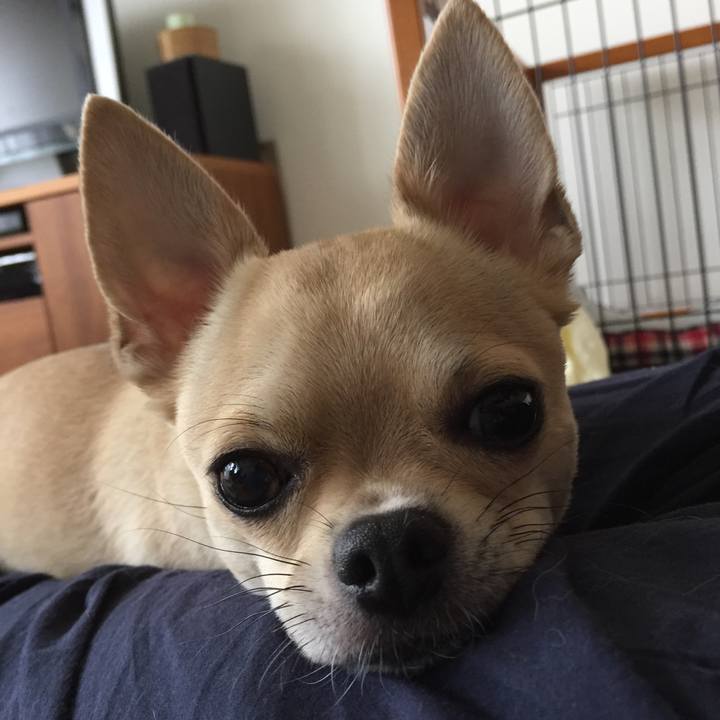 Af02380c 7279 4815 82ac 04b2190b2e5c