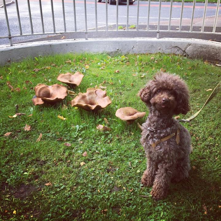 Af02410d f317 458c a129 761b7c1c3e6c