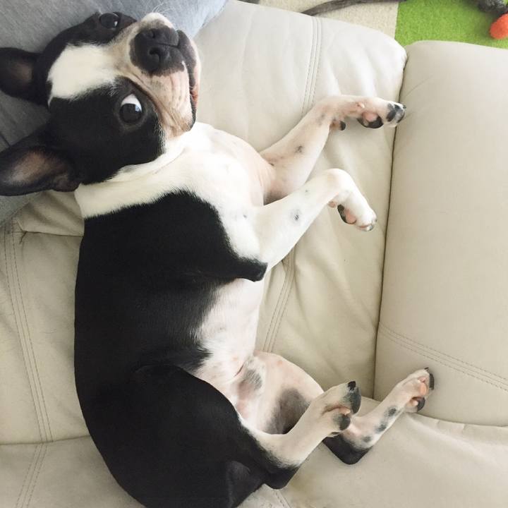 Af024ec2 6c60 4235 bba7 6524b6e049c3