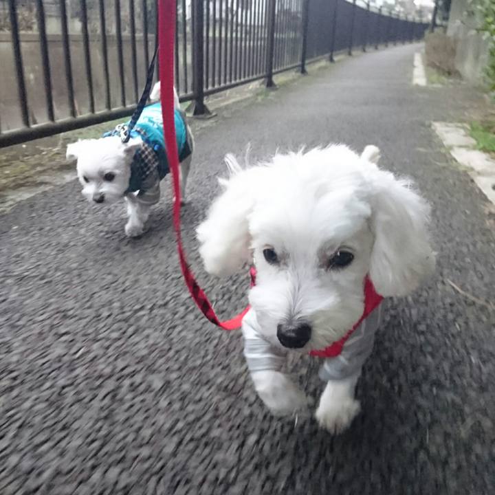 Af0259b1 2588 43c5 8fd9 660ad2358f1f