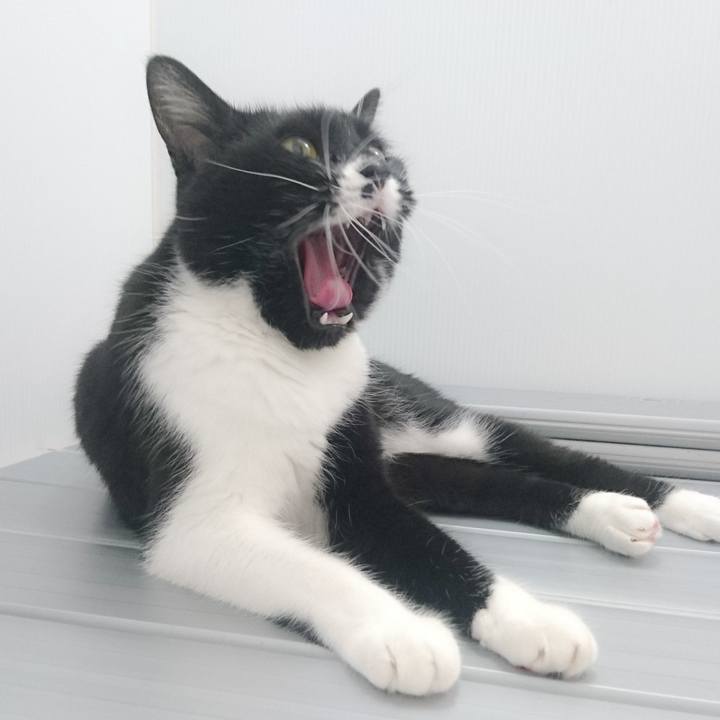 Af02b73d 4915 40f7 b2ea 1ab0c28b3893