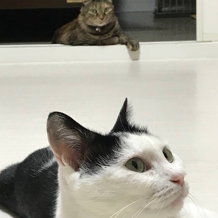 Af038f8d 2b97 4386 8edf 476842bb932d