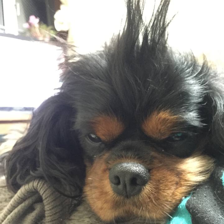 Af066795 519d 40ed ad93 f3c73e1c6b6f