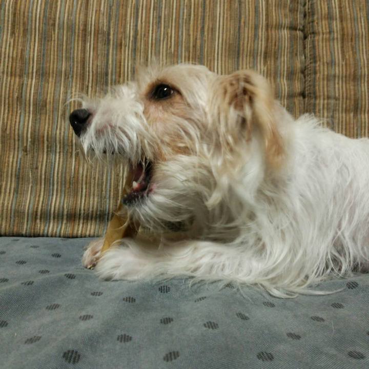 Af075170 dd9f 4ce7 9d4b d79b230a3a2e