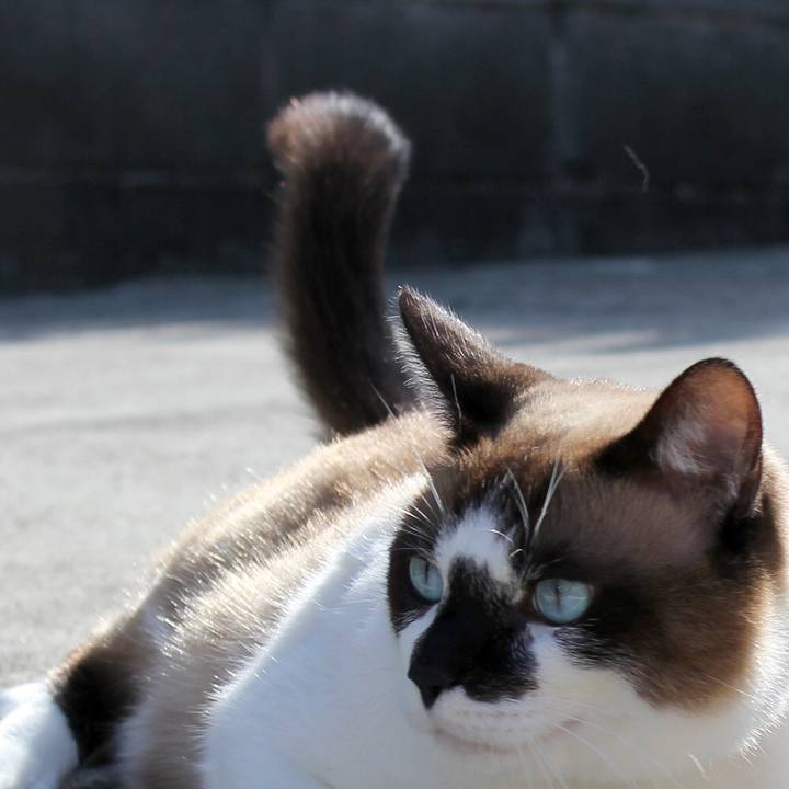 Af07c0d3 aee4 42f1 8e1e 3cd757a8c326