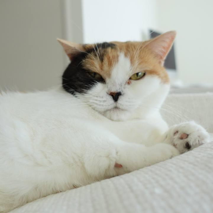 Af07c12f 4abc 415b ac69 40628b662592