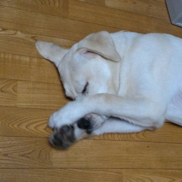 Af07f47c 59ab 4be5 ad13 62371efb4fae