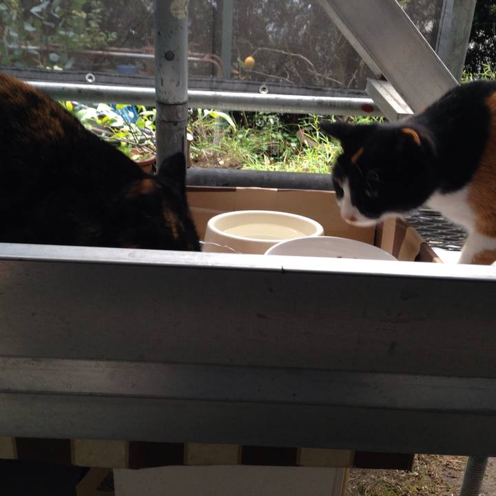 Af08d78a d8f8 4959 9715 ab524927a10d