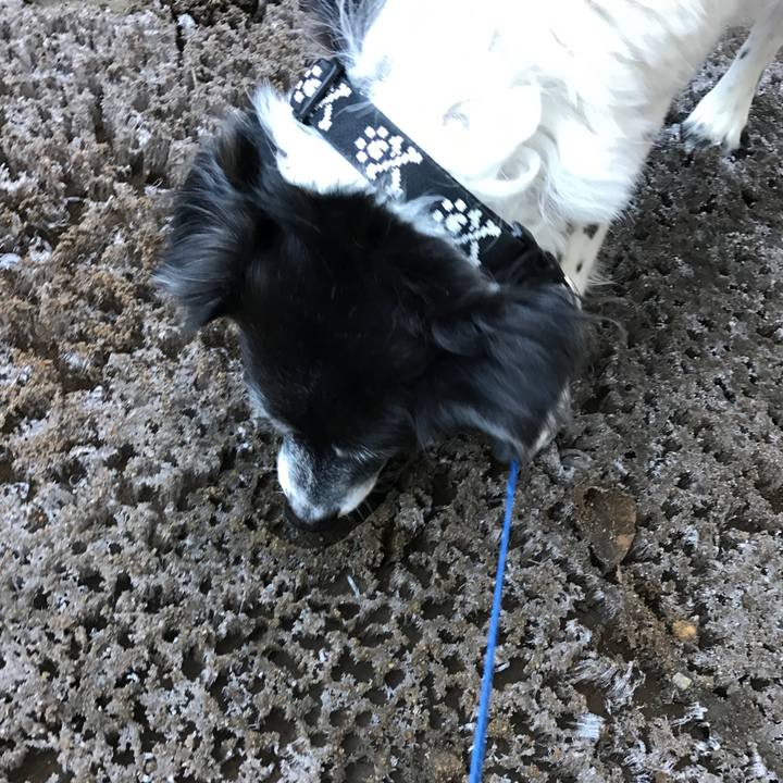 Af08eccd 1194 4207 a3bb f9e0c939eeea