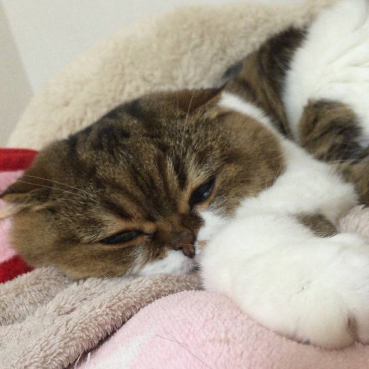 Af098201 d309 47b8 a474 3c601437066b