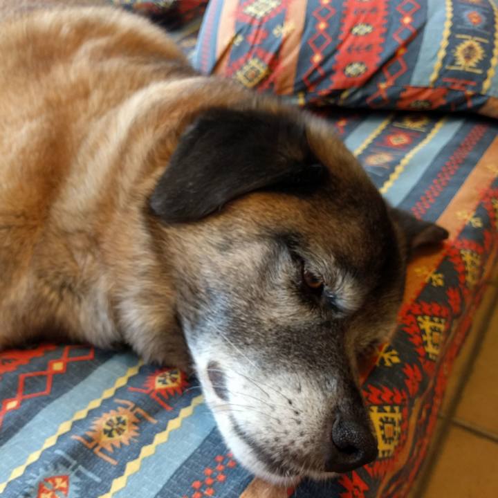 Af09d682 84b3 4eec 8821 5a9eb54816f3