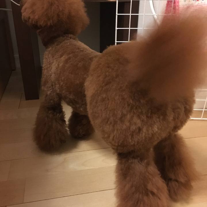 Af09e44f 14cd 4ee7 9b0d 95eb45817ce7