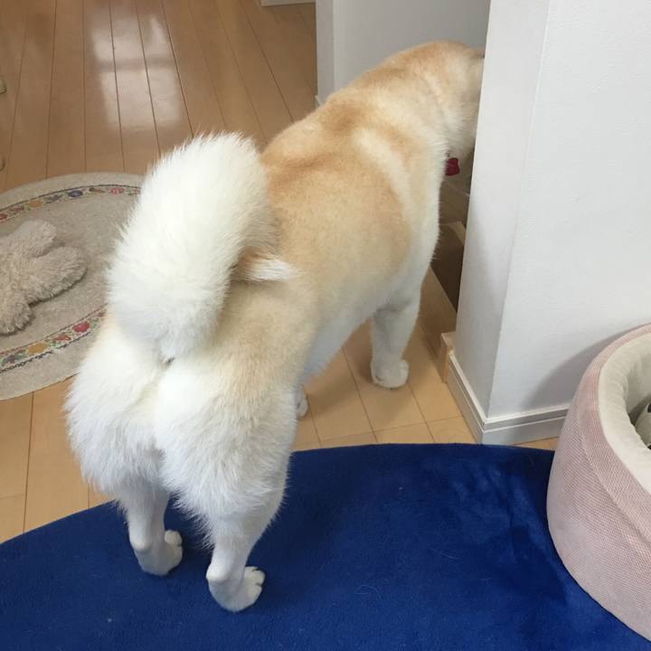 Af09fc10 15fa 489f a574 8c2df1530c6e