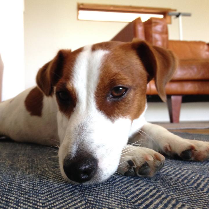 Af0a5558 06bc 43da 8f46 53e09b049b23