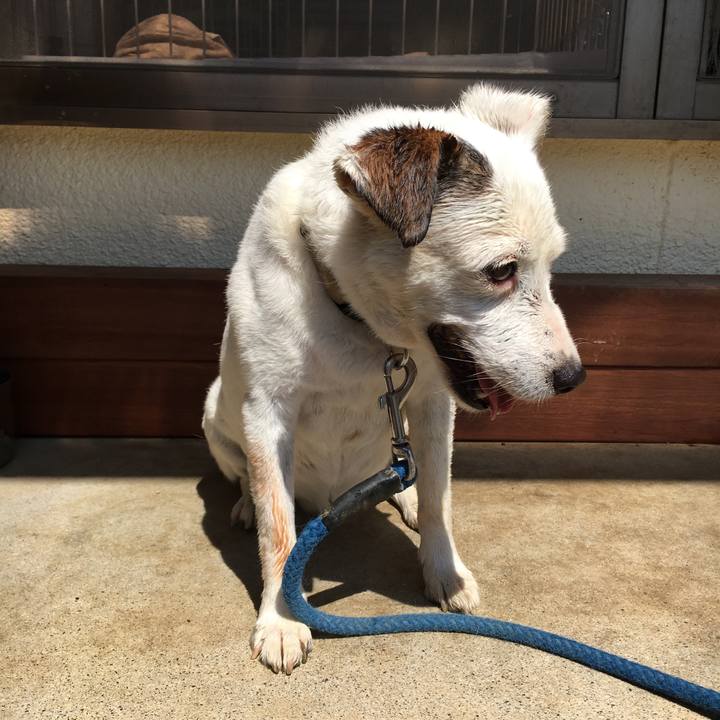 Af0a9a4a 6cc9 4f0a b7e0 65d9df1f1d67