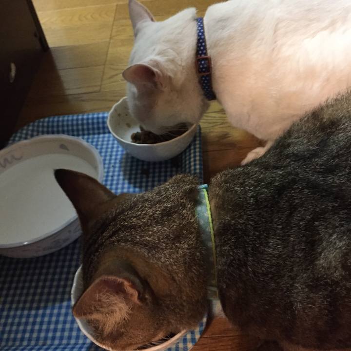 Af0aeff2 b878 4627 ab1b ad325345e61e