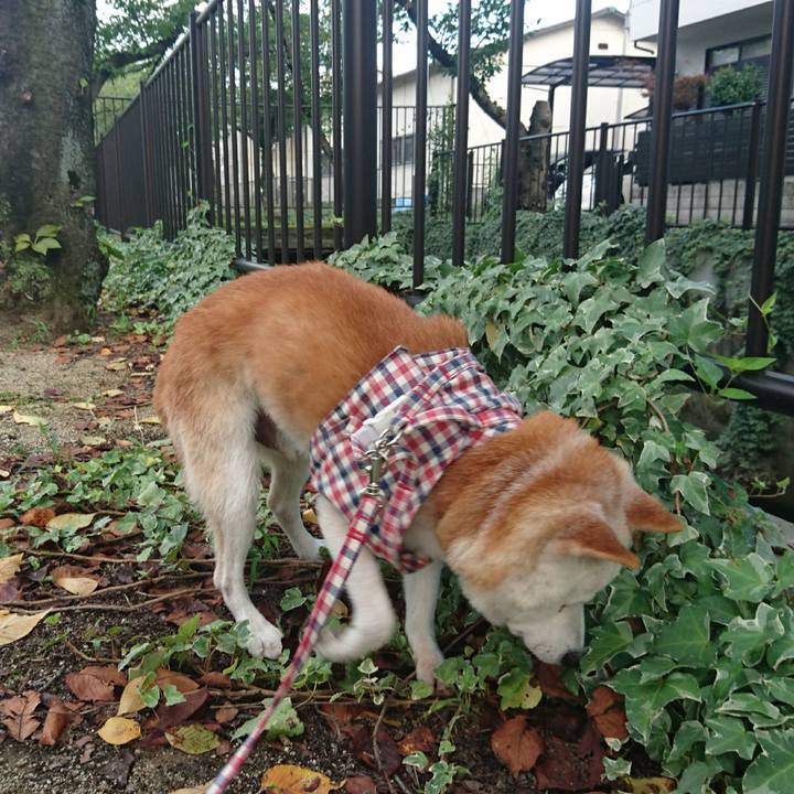 Af0b7337 1a12 482e 86b0 de4edba8e6ef