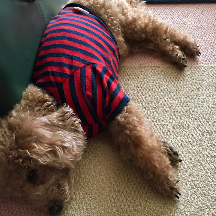 Af0b7eaa 75e6 4140 922b fa998d66f14c