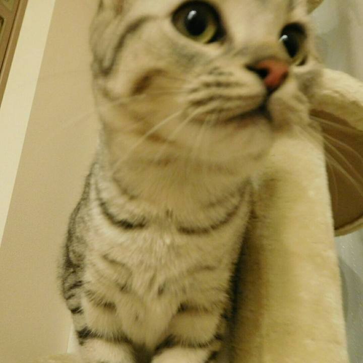 Af0bcafb 132e 4ade 9104 8fdffaca89ab