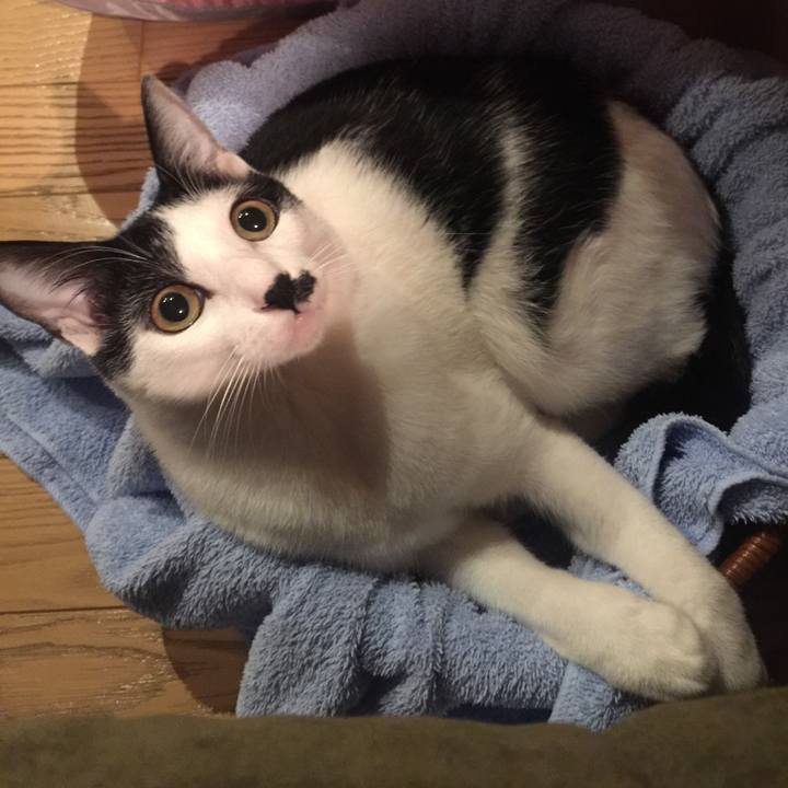 Af0beaee a4af 494f 9954 d9052ad4629e