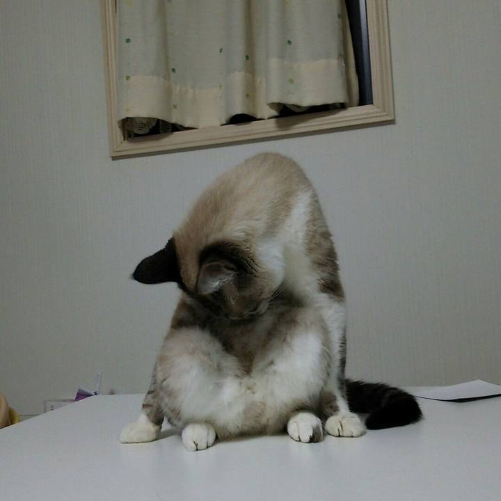 Af0c1cb8 5778 4877 bf4f 54589f927903