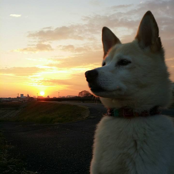 Af0c2c07 5e4c 4512 89de 0a1e0901ebd1