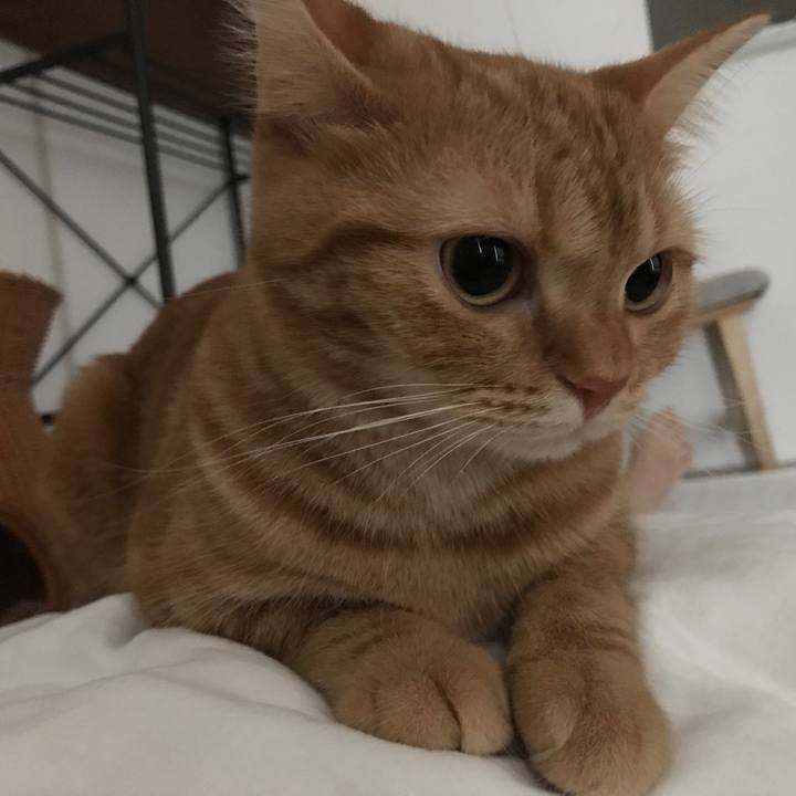 Af0d6cd1 9630 41f5 8c53 9867e6f6818d