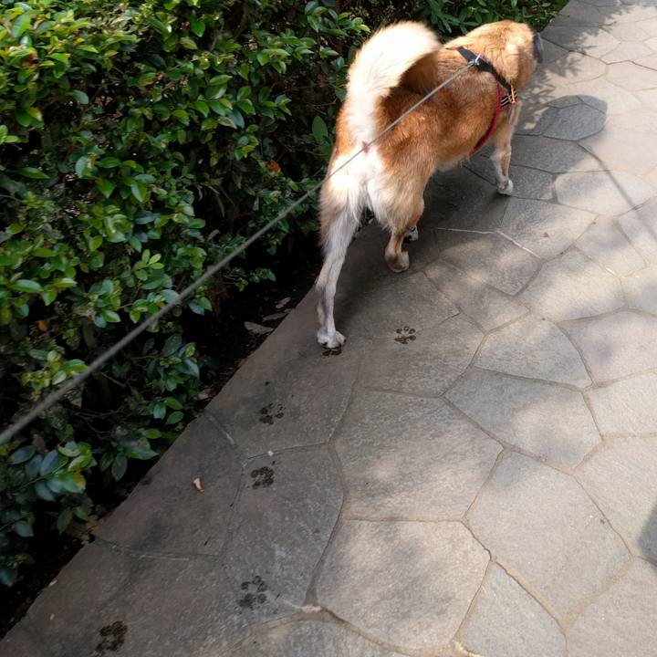 Af0da583 e862 4ad6 8406 73daea290d2c