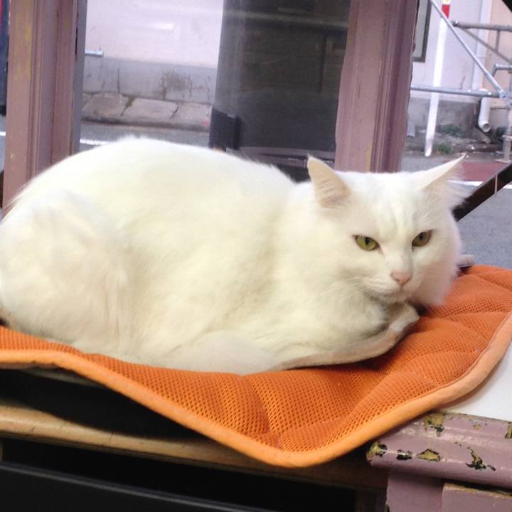 Af0db5e8 d825 428c b604 33e863114d3e