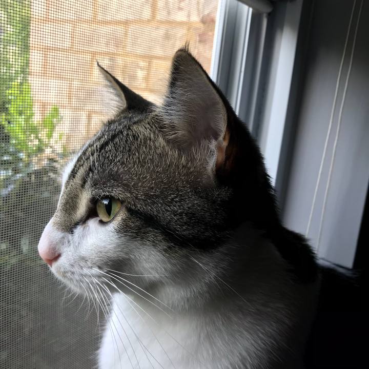 Af0e4411 02ed 47eb a95b 8c5269ed6126